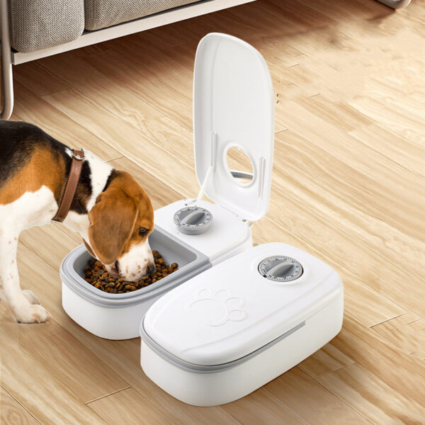 Cheap Automatic Cat Feeder – 2-in-1 Gravity Pet Feeder & Water Dispenser for Cats & Dogs