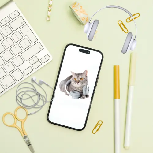 Phones & Accessories